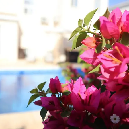 Kalithea Sea View Villas - Villa